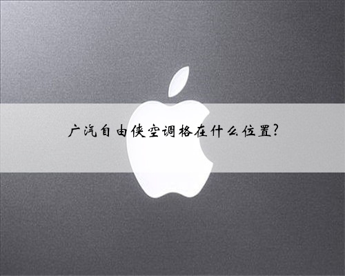 广汽自由侠空调格在什么位置?