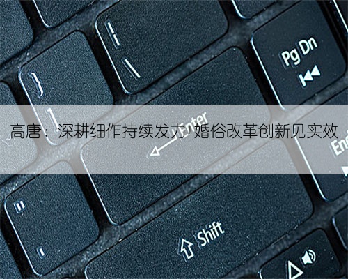 高唐:深耕细作持续发力 婚俗改革创新见实效
