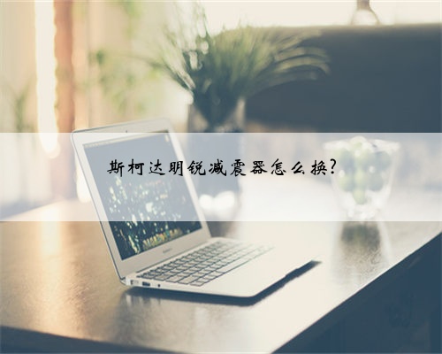 斯柯达明锐减震器怎么换?
