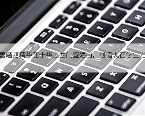以前武汉鲁磨路精华在于华工西门堕落街，可惜现在学生无法体会了