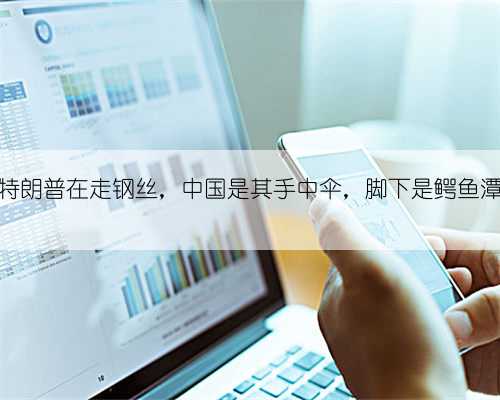 特朗普在走钢丝，中国是其手中伞，脚下是鳄鱼潭