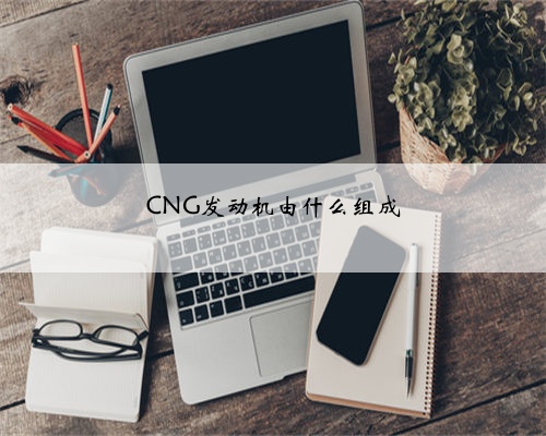 CNG发动机由什么组成