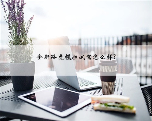 全新路虎揽胜试驾怎么样?