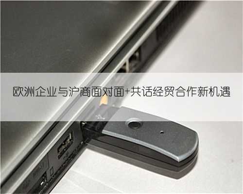 欧洲企业与沪商面对面 共话经贸合作新机遇
