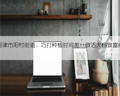 河津市阳村街道：巧打种植时间差 做活大棚致富经