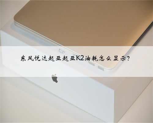 东风悦达起亚起亚K2油耗怎么显示?