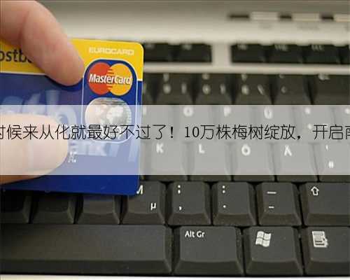 想看流溪香雪？这个时候来从化就最好不过了！10万株梅树绽放，开启南国报春