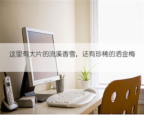 这里有大片的流溪香雪，还有珍稀的洒金梅
