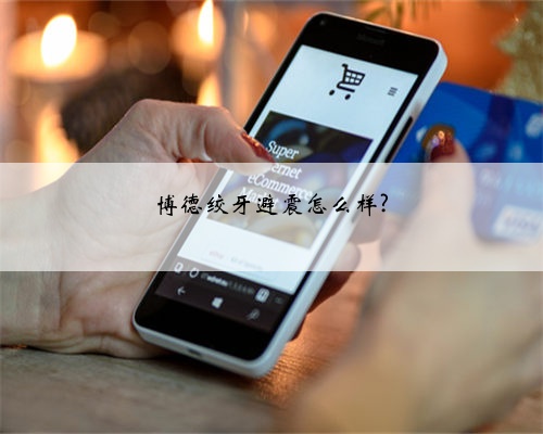 博德绞牙避震怎么样?