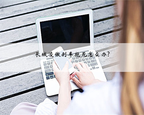 长城凌傲刹车抱死怎么办?