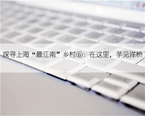 探寻上海“最江南”乡村⑥:在这里,芋见洋桥