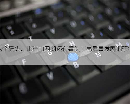 这个码头，比洋山四期还有看头｜高质量发展调研行