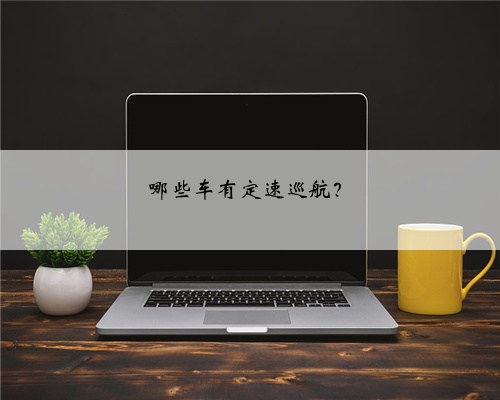 哪些车有定速巡航?