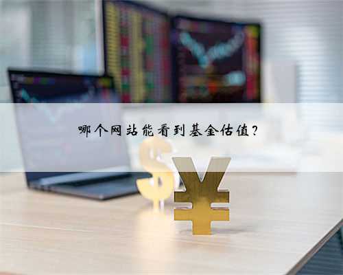 哪个网站能看到基金估值？