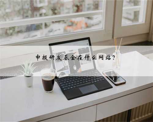 申报研发基金在什么网站？