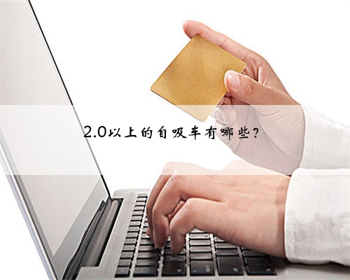 2.0以上的自吸车有哪些?