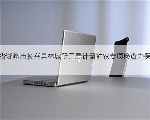 浙江省湖州市长兴县林城所开展计量护农专项检查力保秋收