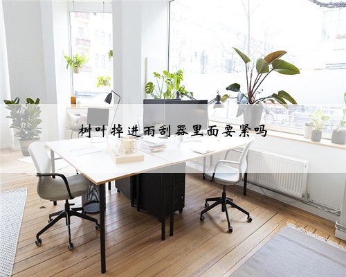 树叶掉进雨刮器里面要紧吗