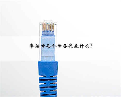 车架号每个号各代表什么?