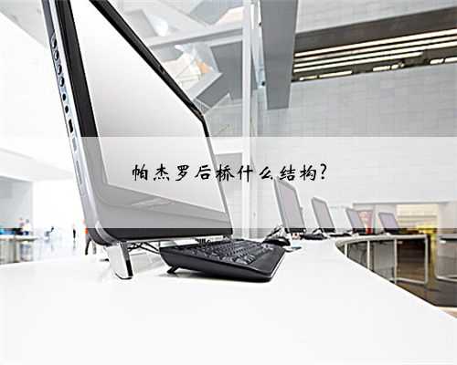 帕杰罗后桥什么结构?