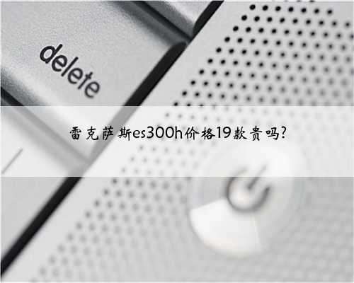 雷克萨斯es300h价格19款贵吗?