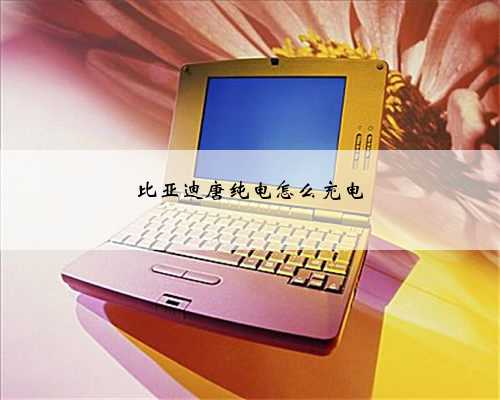 比亚迪唐纯电怎么充电