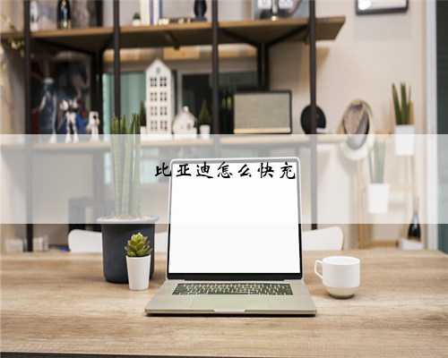 比亚迪怎么快充