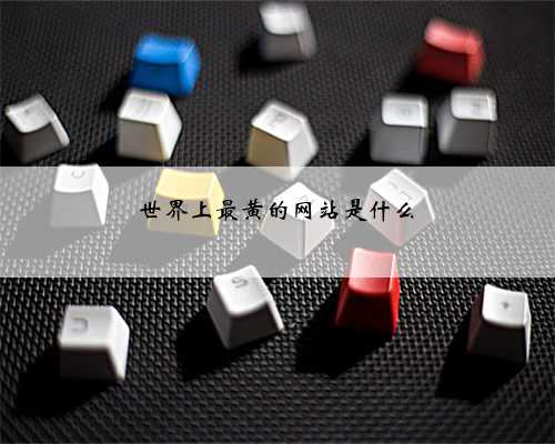 世界上最黄的网站是什么