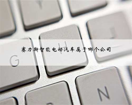 赛力斯智能电动汽车属于哪个公司