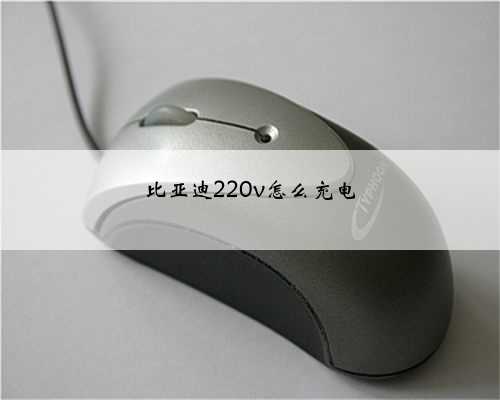 比亚迪220v怎么充电