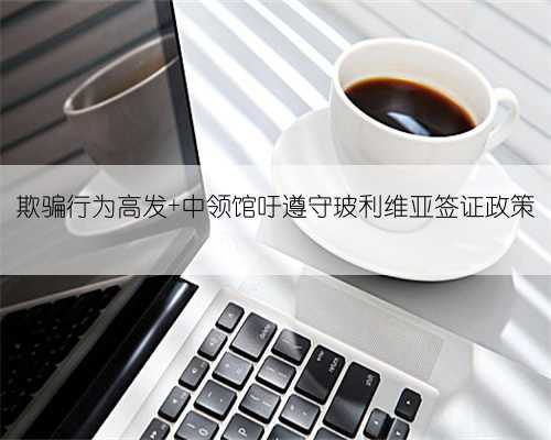 欺骗行为高发 中领馆吁遵守玻利维亚签证政策
