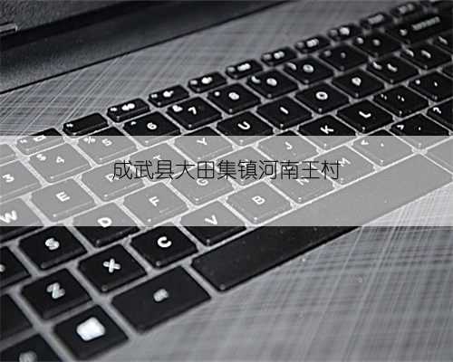 成武县大田集镇河南王村