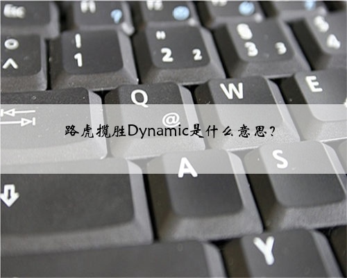 路虎揽胜Dynamic是什么意思?