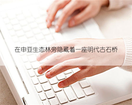 在申亚生态林旁隐藏着一座明代古石桥