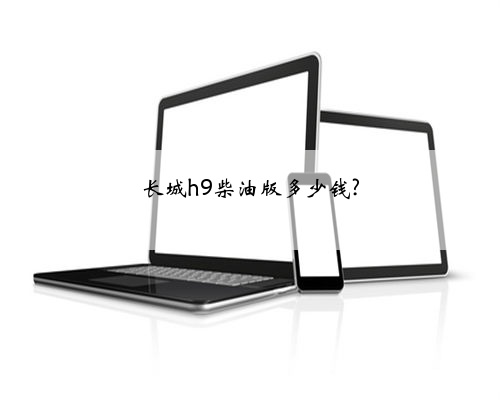长城h9柴油版多少钱?