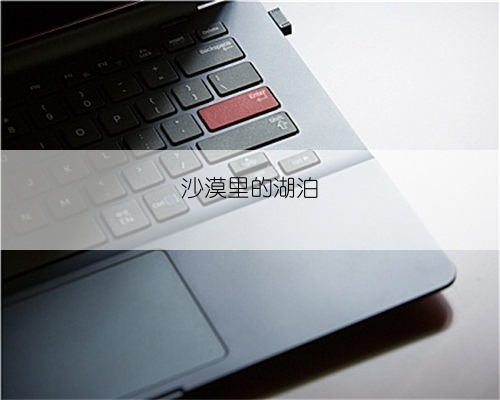 沙漠里的湖泊