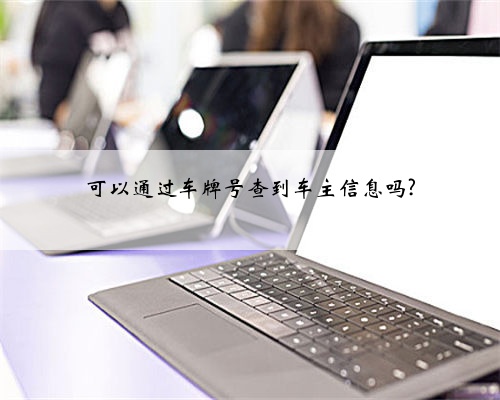 可以通过车牌号查到车主信息吗?
