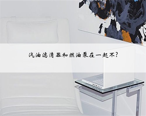 汽油滤清器和燃油泵在一起不?
