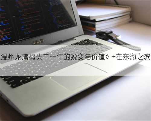 温州龙湾梅头二十年的蜕变与价值》 在东海之滨