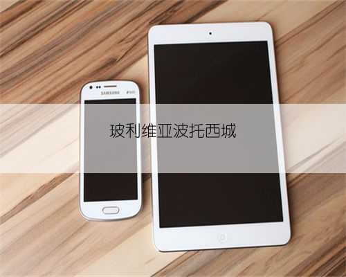 玻利维亚波托西城