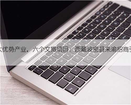 八大优势产业,六个文旅项目:西藏波密县来渝招商引资