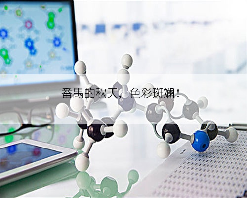 番禺的秋天，色彩斑斓！
