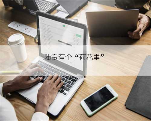 陆良有个“荷花里”