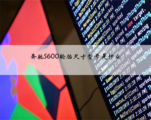 奔驰S600轮胎尺寸型号是什么