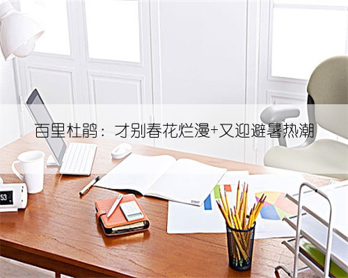 百里杜鹃:才别春花烂漫 又迎避暑热潮