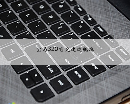宝马320有定速巡航嘛