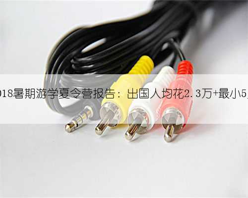 2018暑期游学夏令营报告：出国人均花2.3万 最小5岁