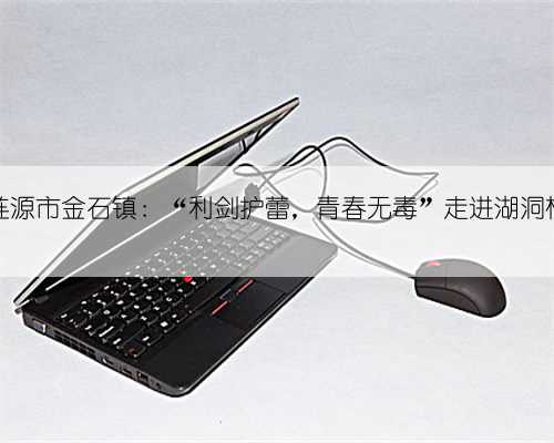 涟源市金石镇：“利剑护蕾，青春无毒”走进湖洞村