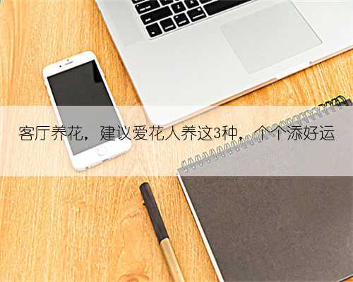 客厅养花,建议爱花人养这3种,个个添好运