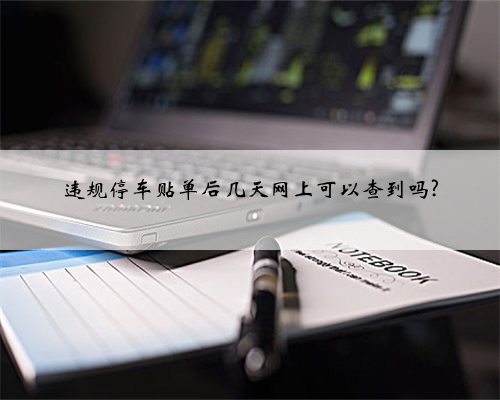 违规停车贴单后几天网上可以查到吗?